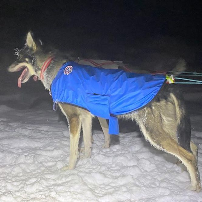 Main Image Canelana Windy dog jacket 