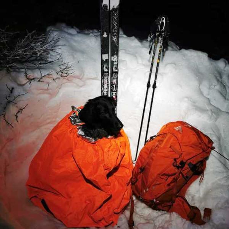 Canelana Cave 100% ull varmepose hund