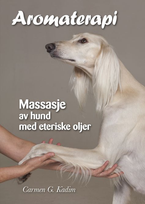 Hovedbilde Bok - massasje av hund - Carmen G. Kadim