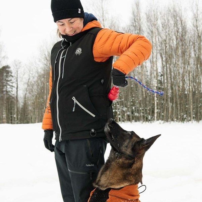 Pilot training vest for dog sports