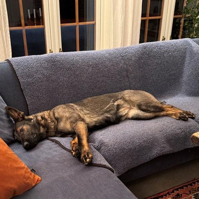 Hovedbilde Canelana ull-pledd - bestillingsprodukt