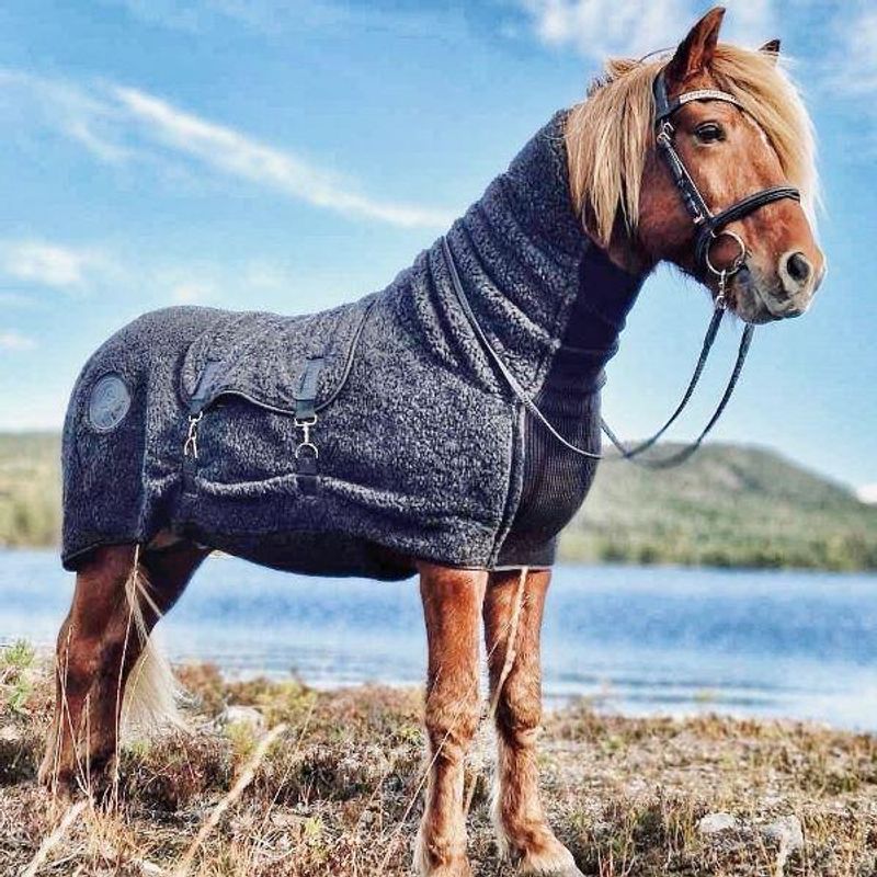 Viðar ulldekken Hest