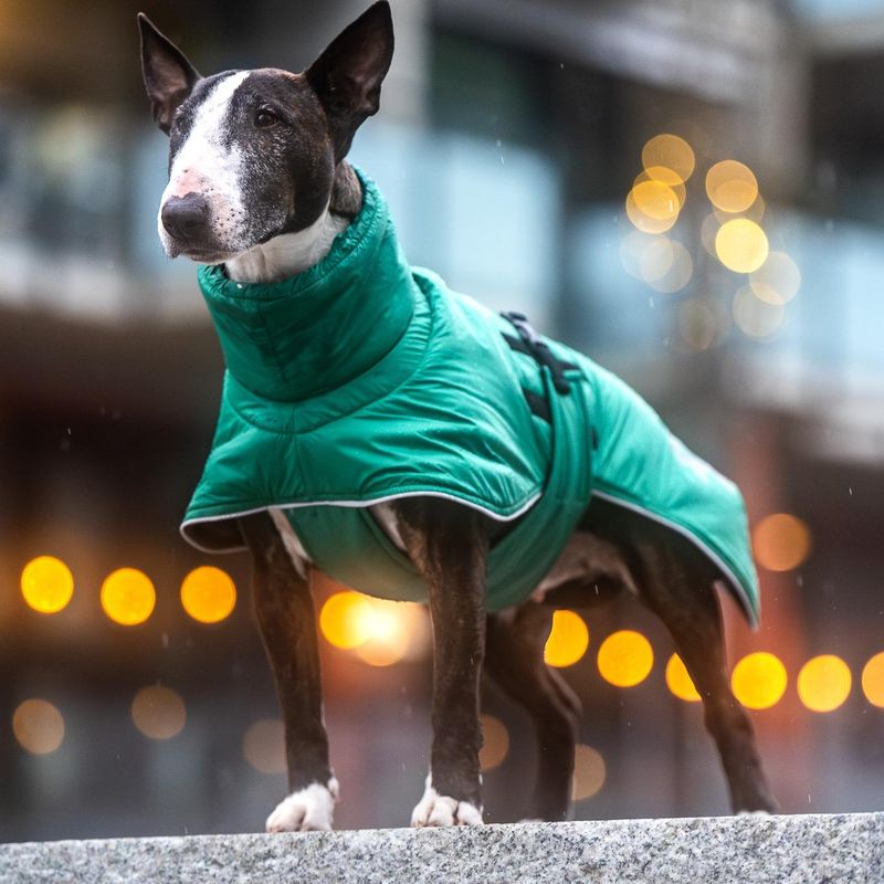 Active - aktivitetsdekken med høy hals og ullfor