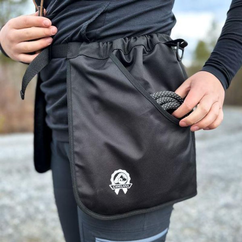 Dog training belt - (