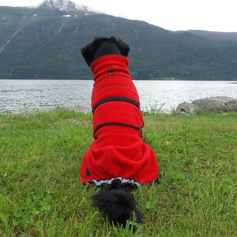 Lana rød - tynt ulldekken hund