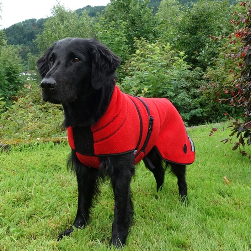 Lana rød - tynt ulldekken hund