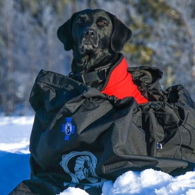 Canelana Shelter beskyttende vind-/varmepose hund