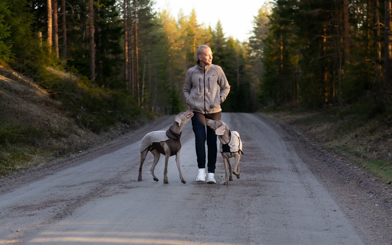 Kvinne i sandfarget Canelana ulljakke på tur med to weimaranere iført  ulldekken