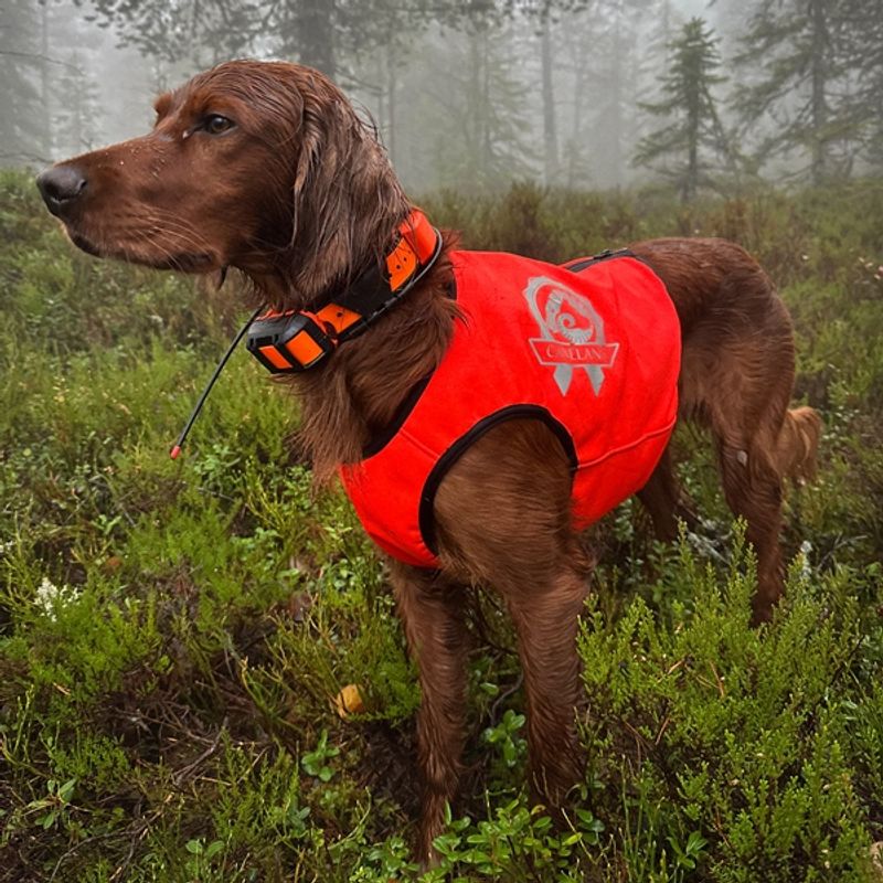 VISIO synlighets- og jaktdekken