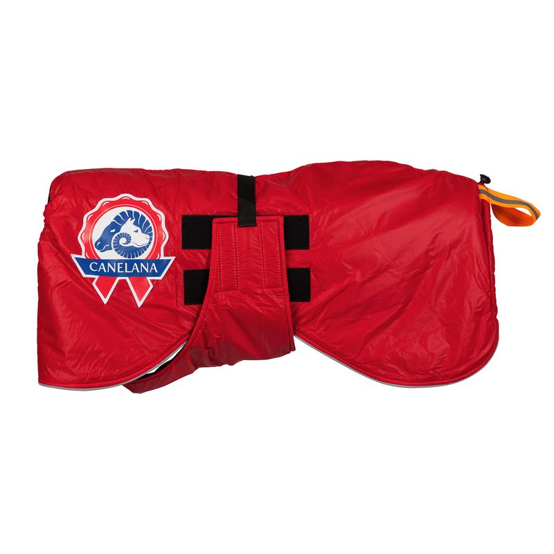 Sporting - activity coat dog with 100% wool lining