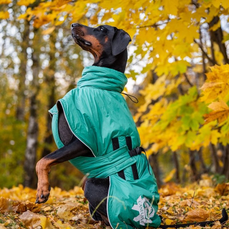 Active - aktivitetsdekken med høy hals og ullfor